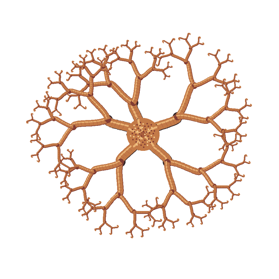 オキノテヅルモヅルの造形研究用BASE STUDY
